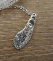 "Nasenzwicker" Ahornfrucht